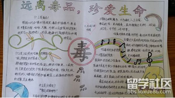 禁毒手抄報版面設計