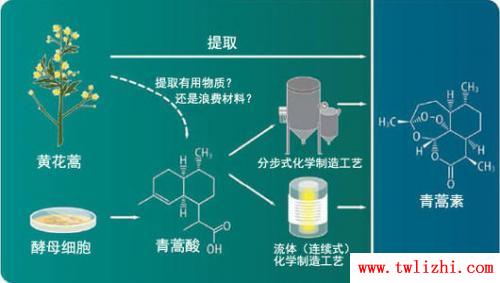 青蒿素與中醫無關嗎