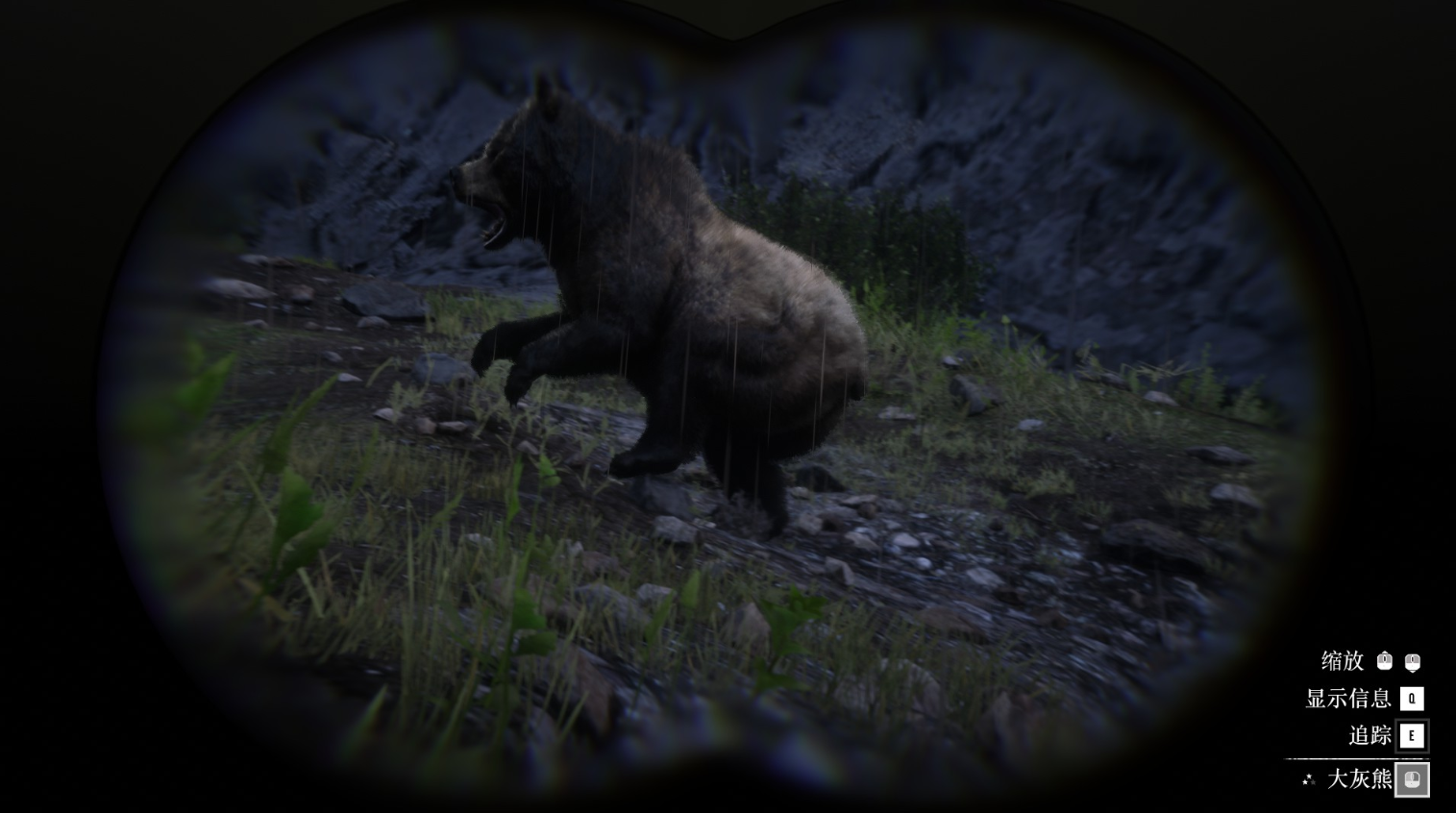 《荒野大鏢客2》動物大灰熊在哪里找