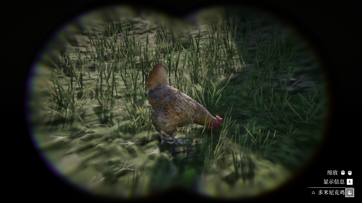 《荒野大鏢客2》動物多米尼克雞在哪里找