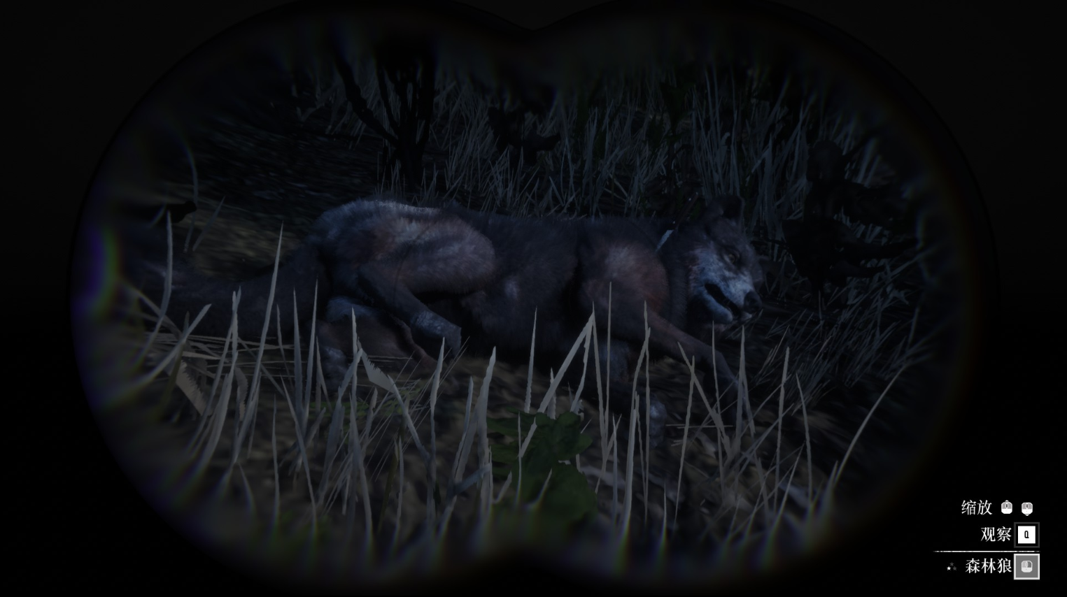 《荒野大鏢客2》動物森林狼在哪里找