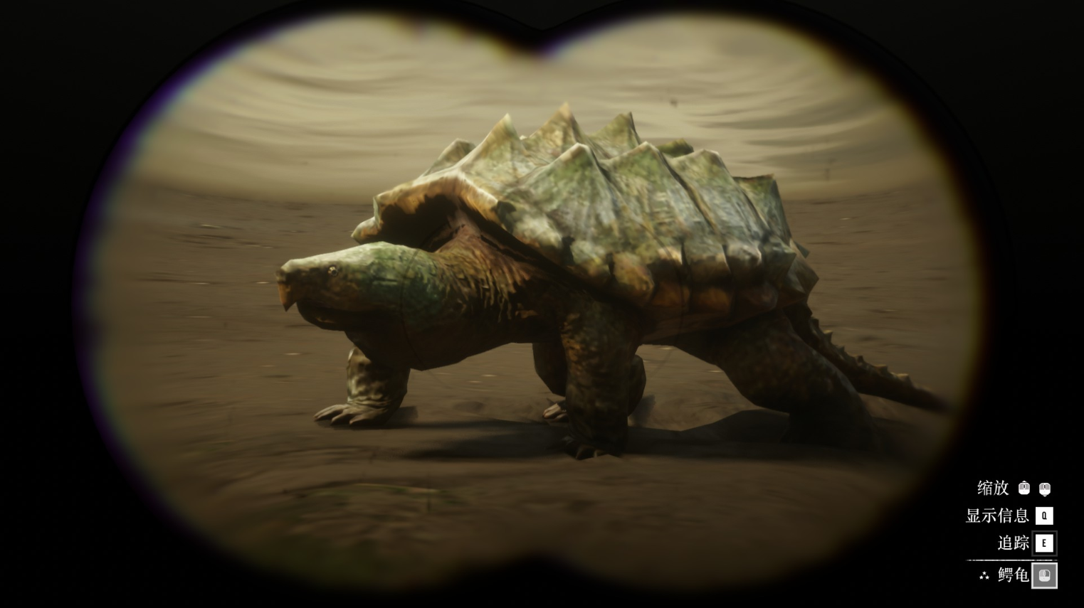 《荒野大鏢客2》動物鱷龜在哪里找