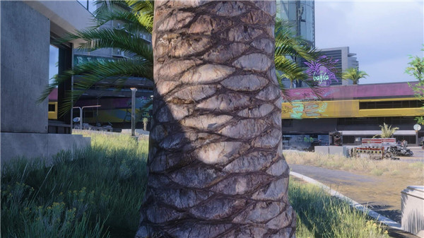 《賽博朋尅2077》新高清材質包 讓所有樹木更逼真