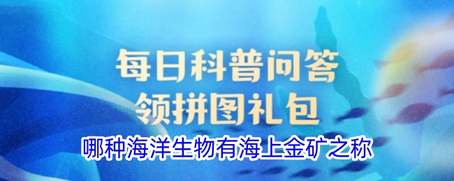 哪種海洋生物有海上金礦之稱