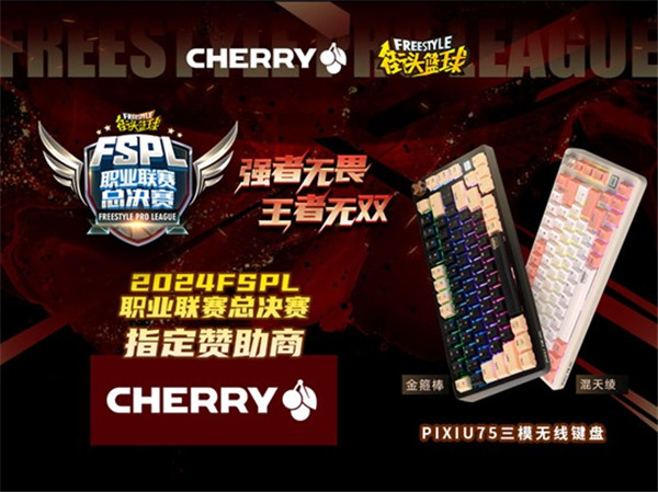 王者無雙  CHERRY贊助2024FSPL職業聯賽縂決賽