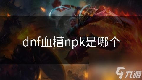 dnf血槽npk是哪個