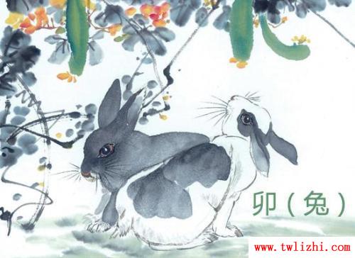 和兔子有關的歇後語精選100句 - 和兔子有關的歇後語精選100句導語：與兔