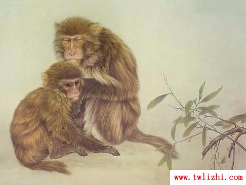和猴子有關的歇後語 - 和猴子有關的歇後語導語：在日常生活中我們