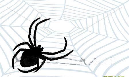 灰蜘蛛織了一張網,抓住了一只蚊子