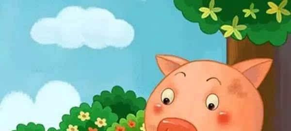 小豬運西瓜|胖小豬和小白兔