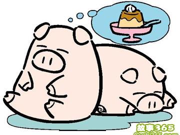 豬胖胖是一個喜歡甜食的嬰兒,每天吃很多糖果、餅干、冰淇淋和喝