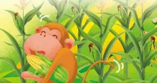 猴子掰玉米一天,一只小猴子下山了