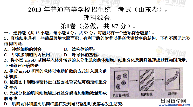 2023年青島高考理科綜合題