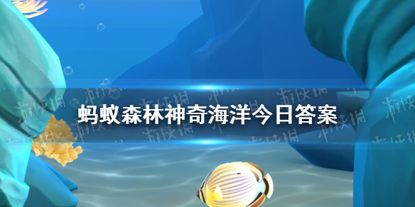 紅珊瑚20年能長1米還是1寸 神奇海洋紅珊瑚的生長速度1月25日答案