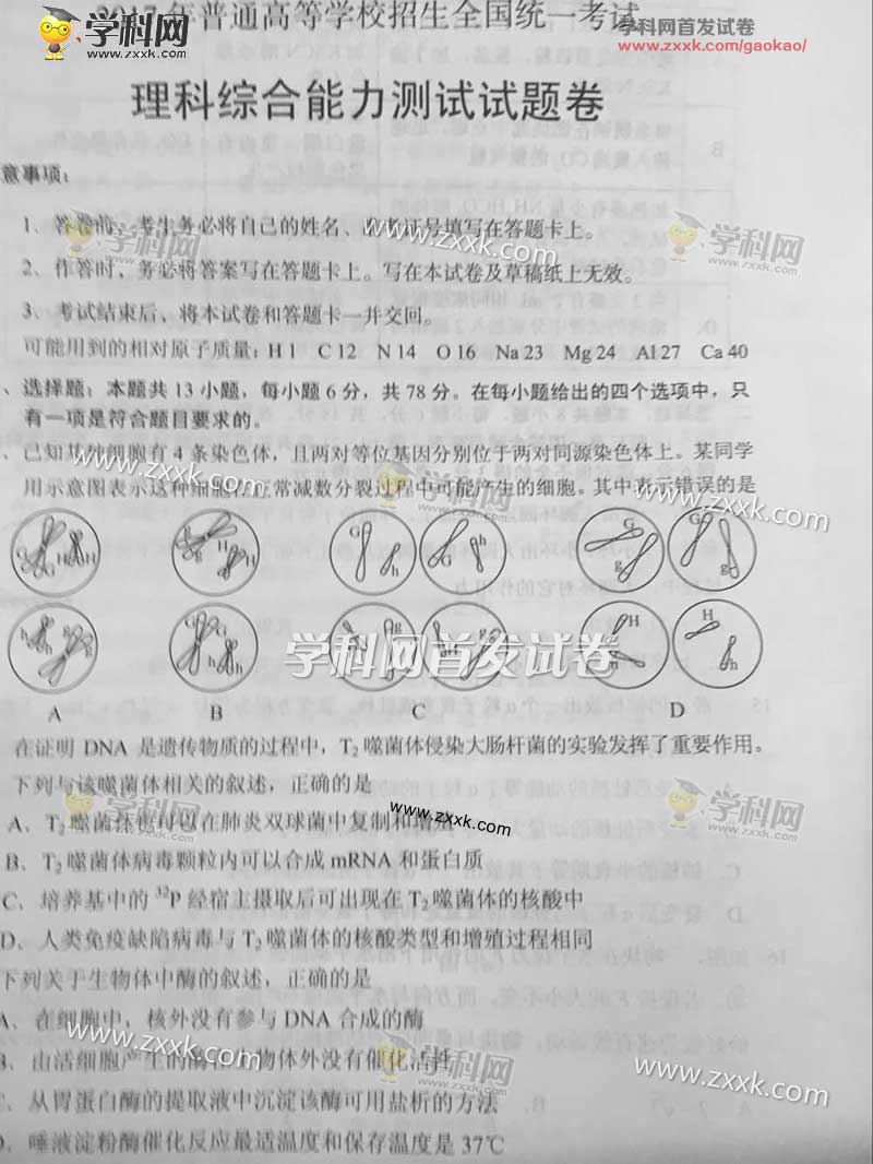 2017年重慶高考全國卷2理綜真題8頁化學答案 9頁生物答案
