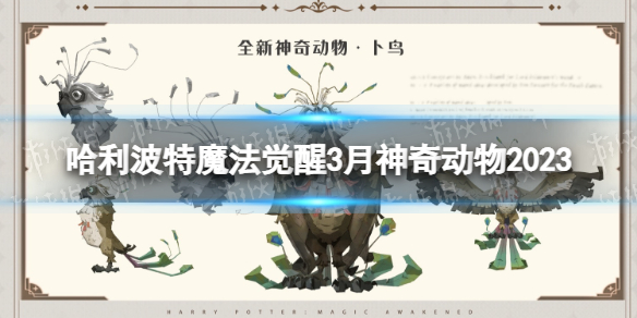 《哈利波特魔法覺醒》3月神奇動物2023 神奇動物卜鳥介紹