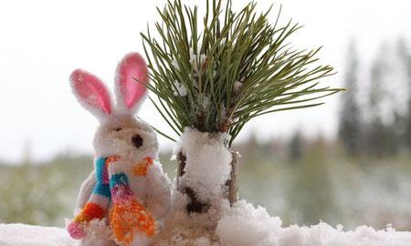 雪娃娃從天而降,他揮舞著小雪棒,雪花落在兔子的頭發、袖子和睫