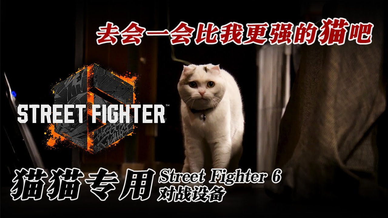 愚人節整活：卡普空推出貓貓專用《街霸6》對戰設備