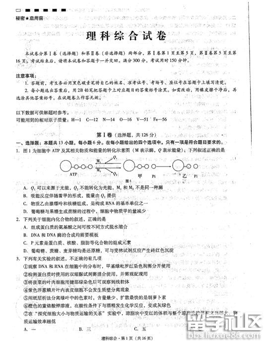 2023年云南師范大學附屬中學高考適應性月考(2)