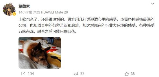 葉蘭素:上海軟星開發團隊已解散