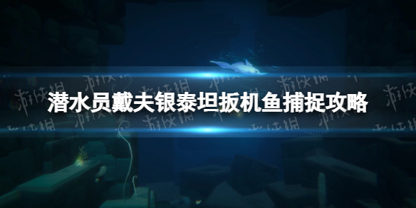 《潛水員戴夫》銀泰坦扳機魚在哪？ 銀泰坦扳機魚捕捉攻略