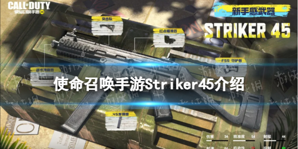 《使命召喚手游》Striker45怎么樣 Striker45原型介紹
