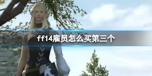 《ff14》雇員購買第三個方法