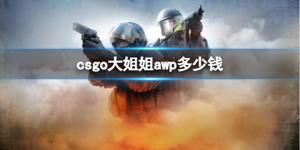 《csgo》大姐姐awp價格介紹