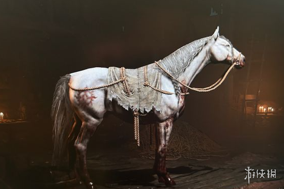 《暗黑破壞神4》坐騎白馬獲取方法