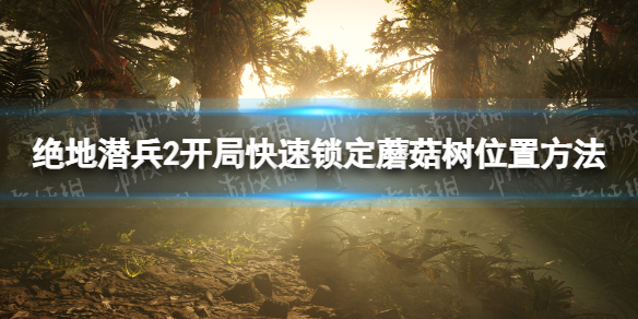 《絕地潛兵2》開局快速鎖定蘑菇樹位置方法