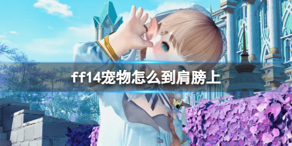 《ff14》寵物到肩膀上方法