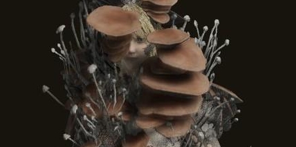 《艾爾登法環》蘑菇套裝位置攻略