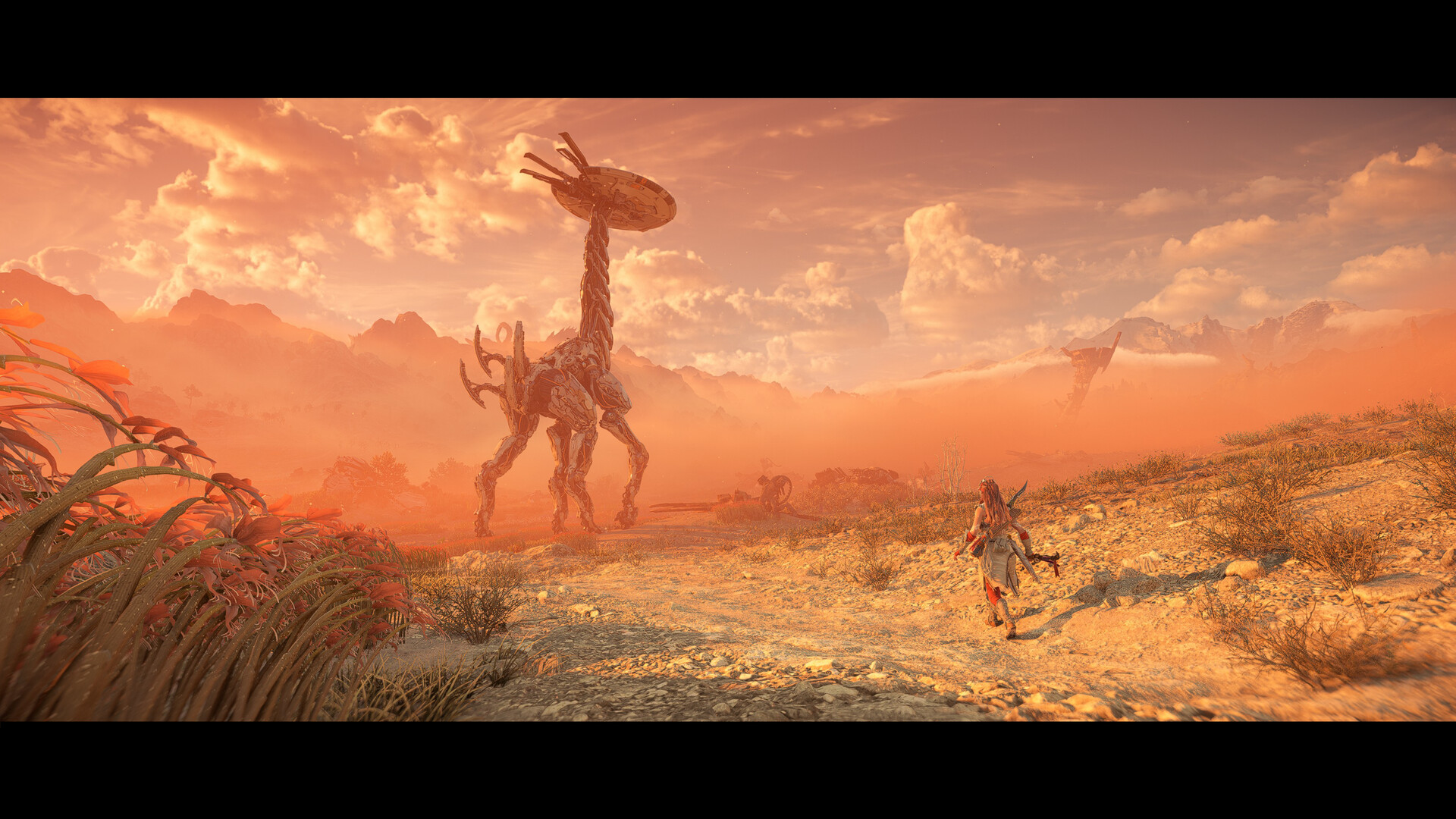 《地平線:西方絕境》幾天前登陸PC,從Steam平台的表現來
