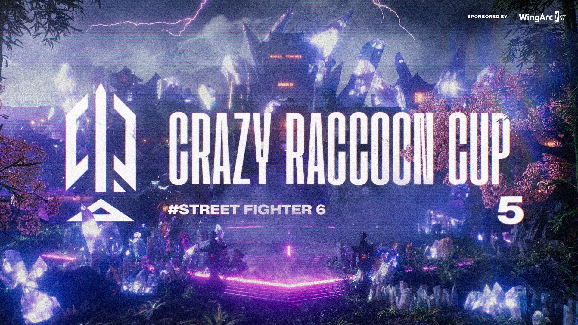 Crazy Raccoon Cup Street Fight