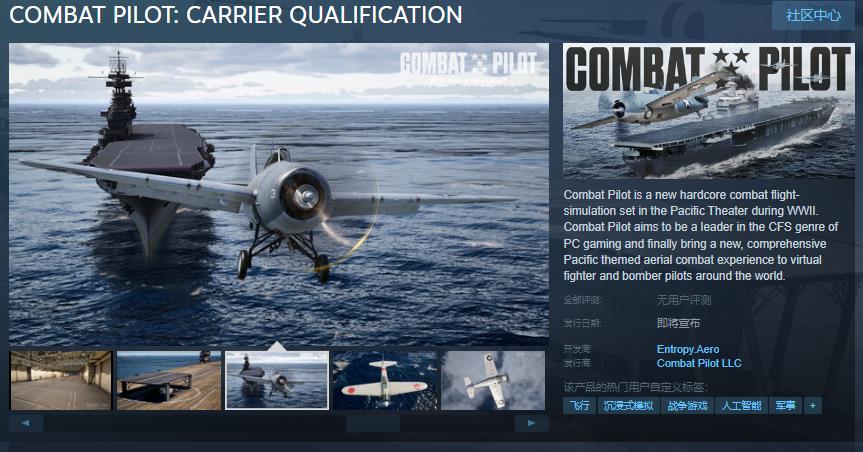 COMBAT PILOT: CARRIERQUALIFICA