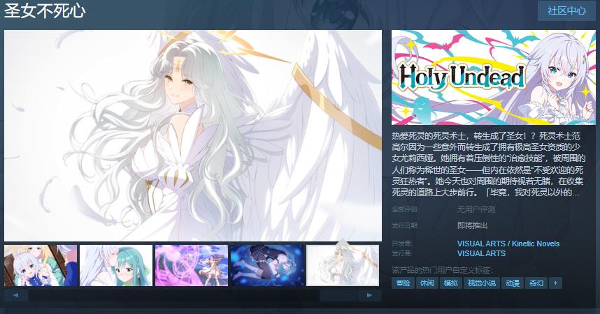 聖女不放棄Steam頁麪上線,遊戯支持簡躰中文