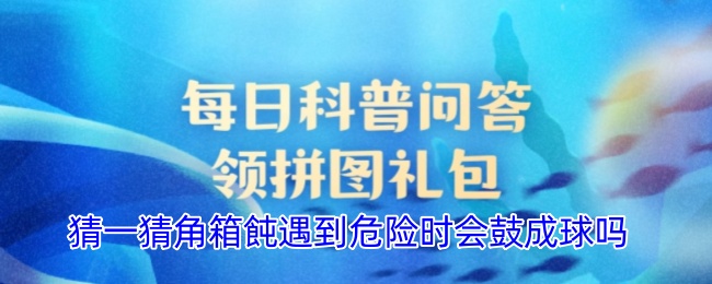 猜一猜角箱飩遇到危險時會鼓成球嗎