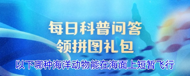 以下哪種海洋動物能在海面上短暫飛行