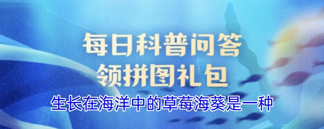 生長在海洋中的草莓海葵是一種