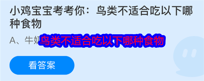 小雞寶寶考考你：鳥類不適合吃以下哪種食物